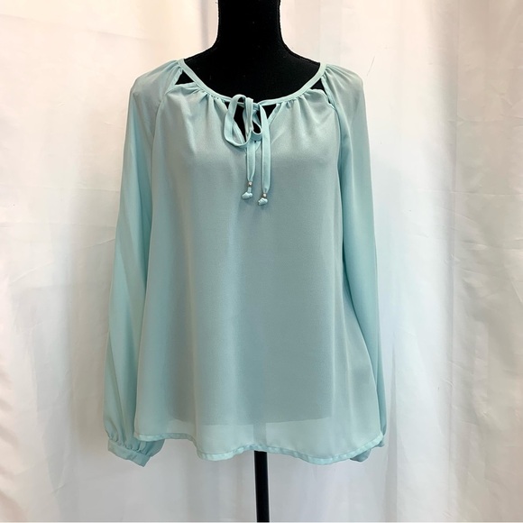 ROSE & Olive light pastel blue cutout sheer chiffon long sleeve blouse Sz M - Picture 13 of 13